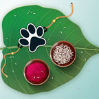 Indianvibez Dog Paw Wooden Rakhi, Cute Pet Animal Themed Rakhi for Brother - Kids Rakhi - Distacart
