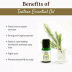 Mitti Se Tea Tree Essential Oil