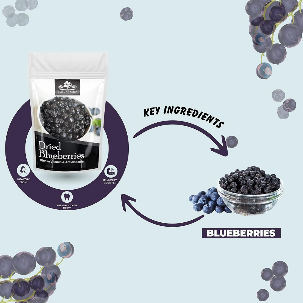 Nature Yard Blueberry Dried Without Sugar - Distacart