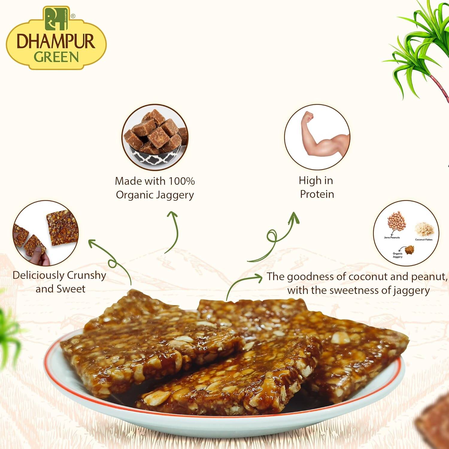 Dhampur Green Coconut Peanut Chikki - Distacart