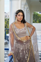 Eilara Glamorous Light Dusty Brown Butterfly Net With Thread And Sequins Embroidered Work Lehenga Choli