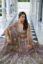 Eilara Glamorous Light Dusty Brown Butterfly Net With Thread And Sequins Embroidered Work Lehenga Choli