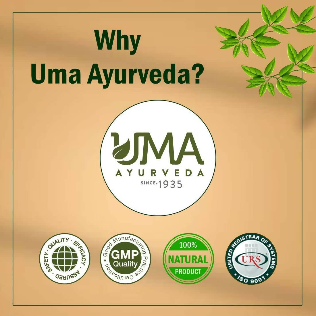 Uma Ayurveda Sanjeevani Vati - Distacart