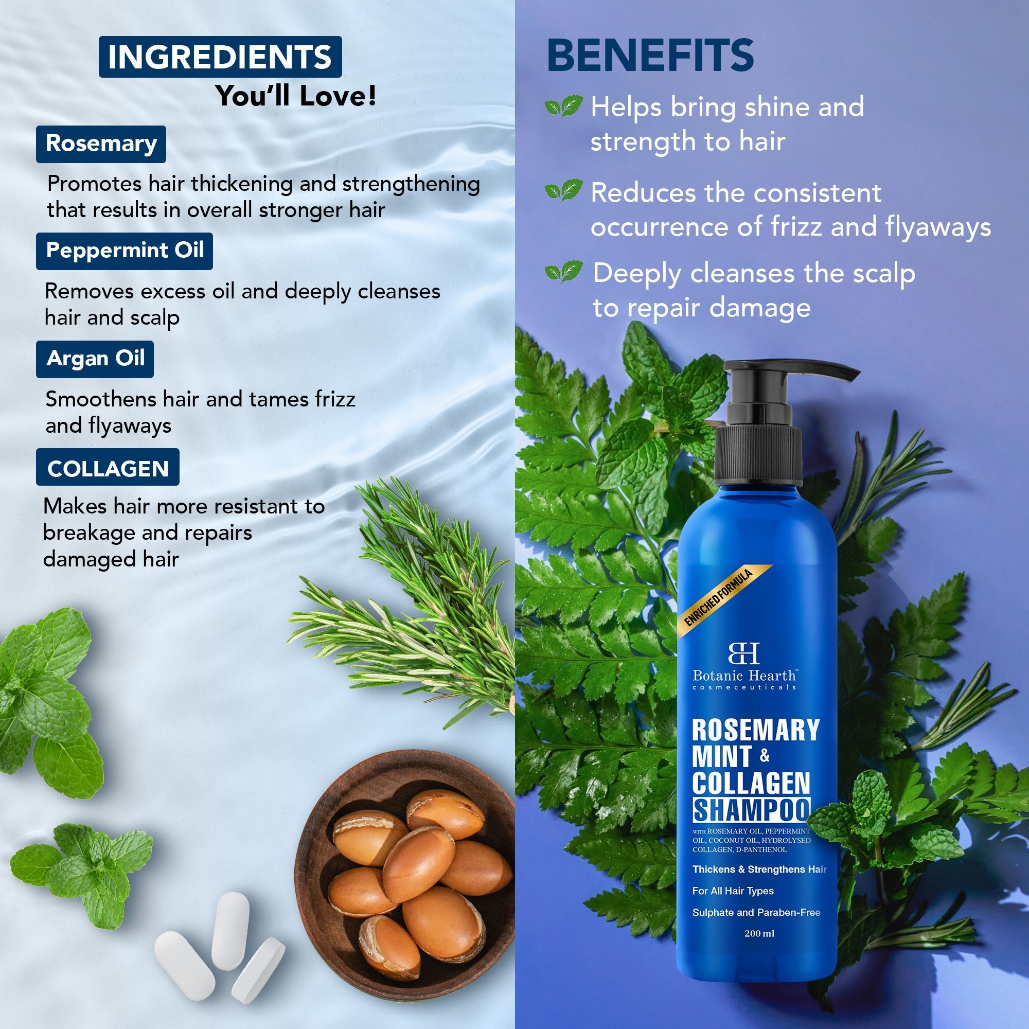 Botanic Hearth Rosemary Cleanse & Hydrate Shampoo - Spray Set