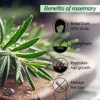 Pyoura Rosemary Water Spray For Hair Fall Control Natural Non-Greasy Heat Protection Serum Mist Toner