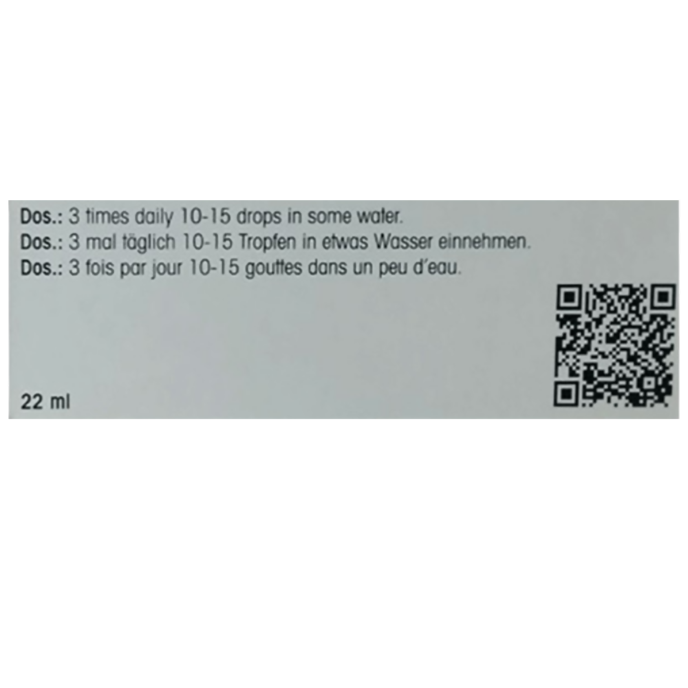 Dr. Reckeweg R 193 Immune System Fortifier Drop - Distacart
