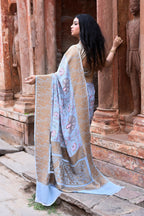 Joban Fashion Light Blue Crepe Chiffon Pure Handloom Banarasi Silk Saree