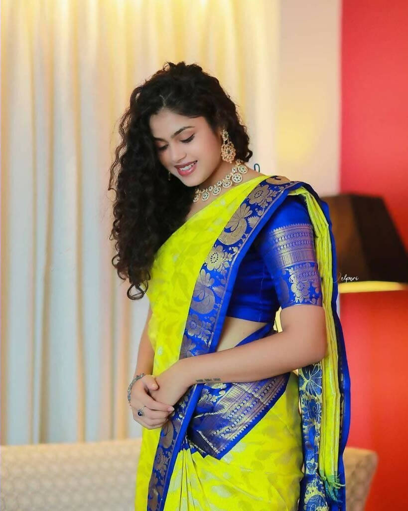 DEIANA'S Beautiful Designer Golden zari Soft Lichi Silk Saree - Yellow
