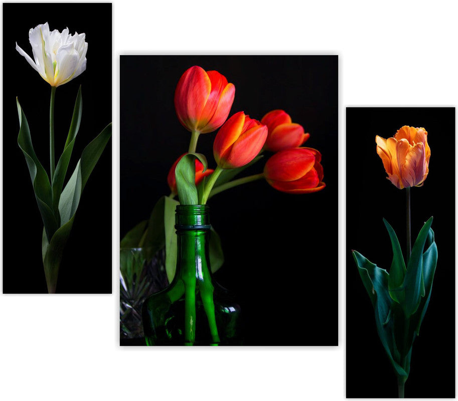 Tehzeeb Creations Set Of 3 Digital Wall Painting