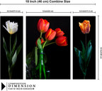 Tehzeeb Creations Set Of 3 Digital Wall Painting