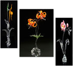 Tehzeeb Creations Set Of 3 Digital Wall Painting