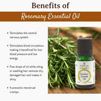Mitti Se Rosemary Essential Oil