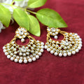 Mominos Fashion Johar Kamal Beautiful Golden And White Beaded Earrings - Distacart