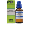 SBL Homeopathy Aesculus Hippocastanum Dilution