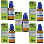 SBL Homeopathy Lycopodium Clavatum Dilution - Distacart