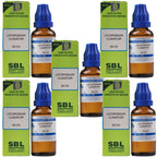 SBL Homeopathy Lycopodium Clavatum Dilution - Distacart