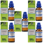 SBL Homeopathy Lycopodium Clavatum Dilution - Distacart
