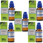 SBL Homeopathy Lycopodium Clavatum Dilution - Distacart