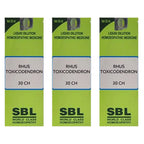 SBL Homeopathy Rhus Toxicodendron Dilution - Distacart
