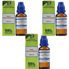 SBL Homeopathy Rhus Toxicodendron Dilution - Distacart