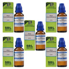 SBL Homeopathy Rhus Toxicodendron Dilution - Distacart