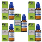 SBL Homeopathy Rhus Toxicodendron Dilution - Distacart