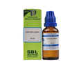 SBL Homeopathy Curcuma Longa Dilution