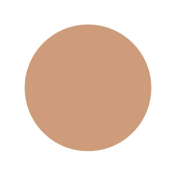 Avon True Color Flawless Concealer Stick Neutral medium