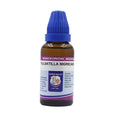 Father Muller Pulsatilla Nigricans Dilution - Distacart
