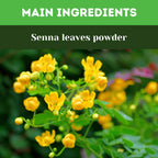 Herbal Hills Senna Powder - Distacart