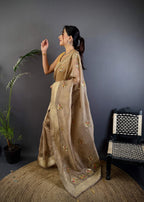 Sonakshi Women'S Chiku Pure Organza Silk With Attractive Embroidery Work Traditional Saree With Blouse - Distacart