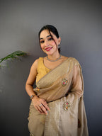 Sonakshi Women'S Chiku Pure Organza Silk With Attractive Embroidery Work Traditional Saree With Blouse - Distacart
