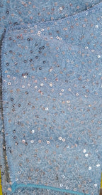Kia Fashions Powder Blue All Over Silver Sequins Readymade Blouse - Distacart