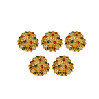 Sri Rudra Kumkum Haldi Mini Fiber (SR 02818)