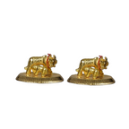 Sri Rudra Cow