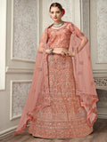 Myra Peach Net Heavy Embroidered Lehenga Choli