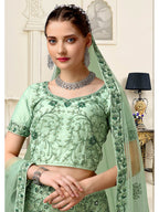 Myra Pista Net Heavy Embroidered Lehenga Choli