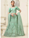 Myra Pista Net Heavy Embroidered Lehenga Choli