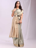 Shree Shyam Fashion Organza Grey Saree - Distacart
