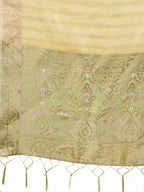 Shree Shyam Fashion Light Green Organza Saree - Ethereal Sophistication in Every Fold