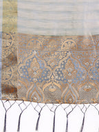 Shree Shyam Fashion Light Grey Organza Saree - Ethereal Sophistication in Every Fold