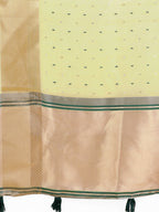Shree Shyam Fashion Light Green Gold Organza Silk Saree - Lightweight Luxury for Your Ethnic Moments