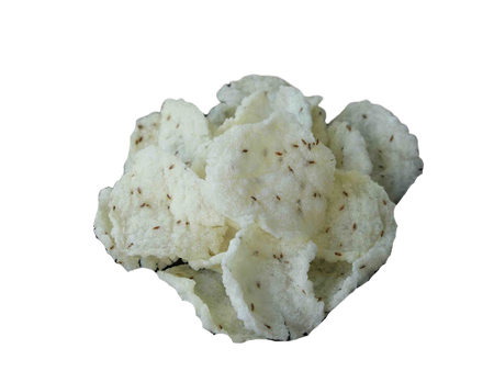 Fryums / Sabudana Vadiyalu