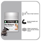 Desh Rakshak Sat Sj Capsule