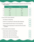 Scholars Insights Science Olympiad Grade 1| Science Practical Questions in MCQ format, QMR Sheet, Self Evaluation Sheet, Test Paper|Ages 6-7 Years - Distacart