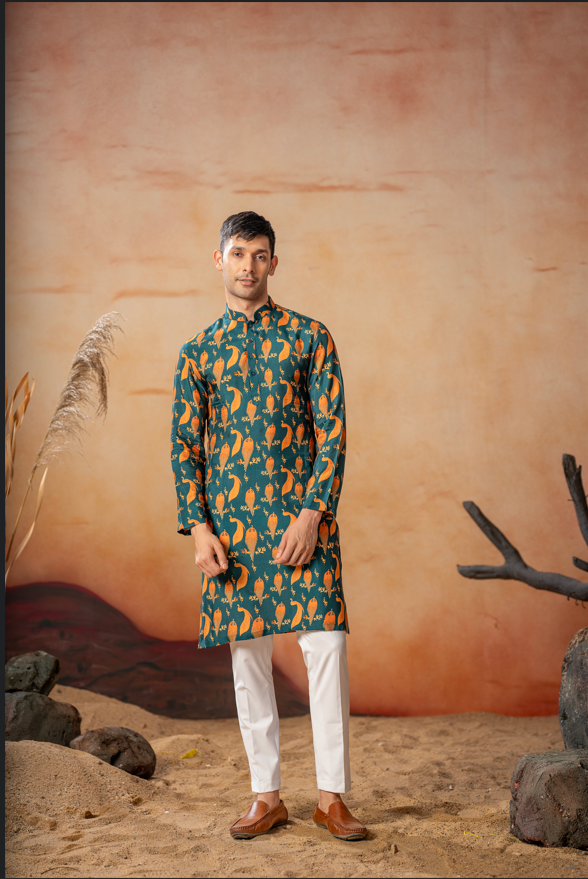 Peacock Print Kurta by Hilo Design