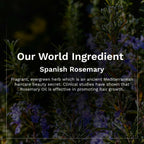 Pilgrim Spanish Rosemary & Biotin Hair Growth Oil To Control Hair Fall & Strengthens Hair - Distacart