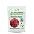 Yuvagrow Beetroot Papad - Distacart