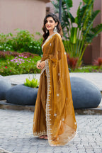 Vastranavya Brown Embroidery Work Shimmer Chiffon Saree with Unstitched Blouse - Distacart