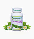 Planet Ayurveda Phyllanthus Niruri Capsules - Distacart